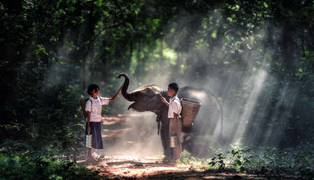 Student little asian boy and girl, countryside in Thailandの写真素材
