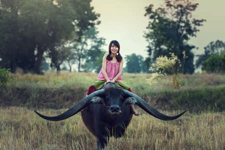 Asian woman (Thai) farmer with a buffalo in the field