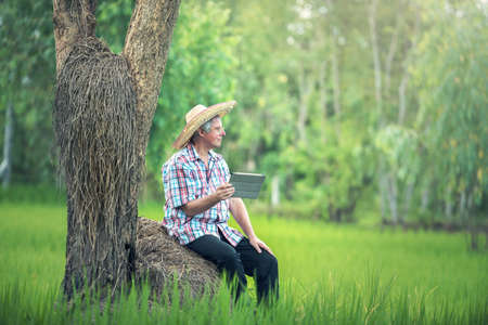 Farmer Using Digital Tablet In rice fieldの写真素材