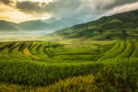 Rice fields on terraced of Mu Cang Chai, YenBai, Vietnam. Rice fields prepare the harvest at...