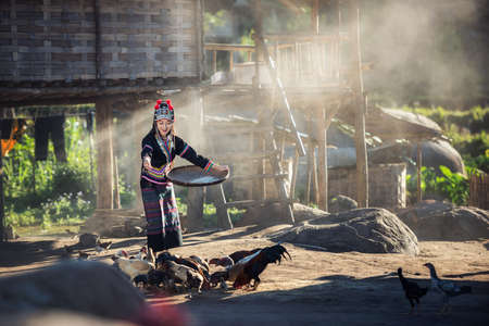 Asian girls feeding chickens at Laos countrysideの写真素材