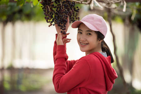 Young woman holding a bunch of grapesの写真素材