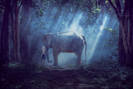 Friendship between children with elephant at countryside of Thailandの写真素材