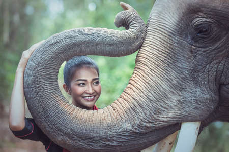 Beautiful woman wearing Thai silk traditional dresses with elephant, Surin Province, Thailandの写真素材