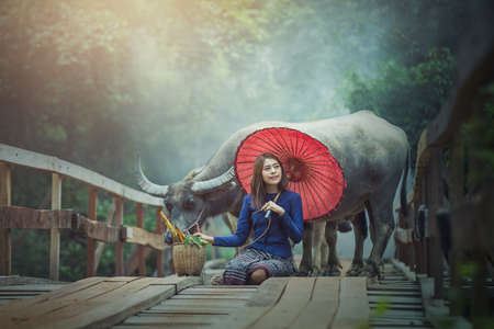 Beautiful woman Thai traditional culture with buffalo,Thailandの写真素材