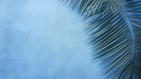 Empty palm shadow blue color texture pattern cement wall background. Used for presentation business nature organic cosmetic products for sale shop online. Summer tropical beach with minimal conceptの素材