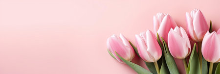 Beautiful tulips on pastel color background. Banner design with space for textの素材