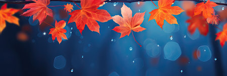 Beautiful autumn background with red-orange autumn leaves on a blue background with raindrops.の素材