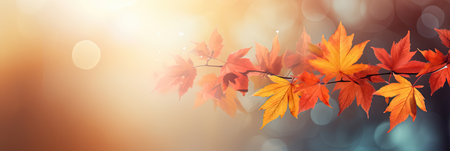 Colorful universal natural panoramic autumn background for design with orange leaves and blurred background.の素材