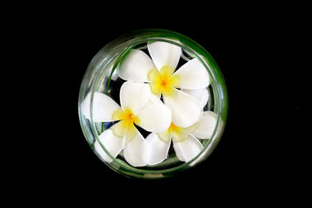 White flowers in the vaseの写真素材