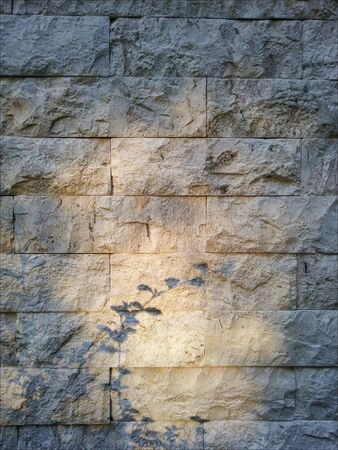 Brick wall close up view
