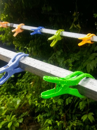 Wet clothes pegs clamping the lines.の素材