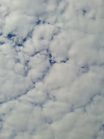 White background illuminates the imagination.の素材