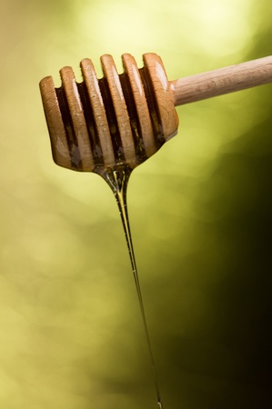 Classic wooden honey dipper over a light green backgroundの写真素材