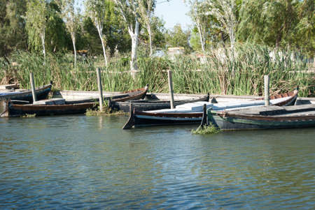 Albufera of Valenciaの写真素材