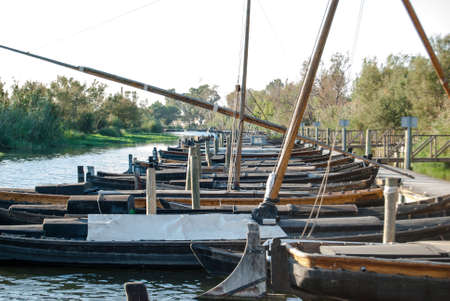 Albufera of Valenciaの写真素材