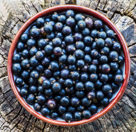 Black currants in a bowlの写真素材