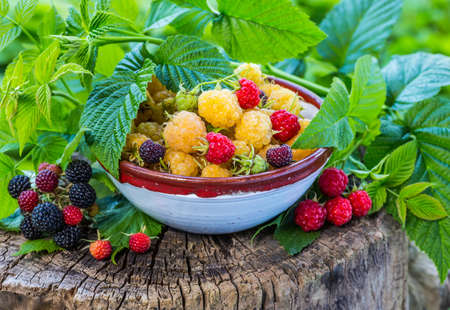 raspberries in a bowl on a wooden backgroundの写真素材