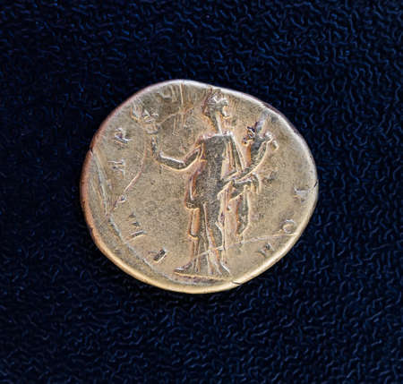 ?????? Aureus ????? ????? (?? 250 ?? 251) - ???の写真素材