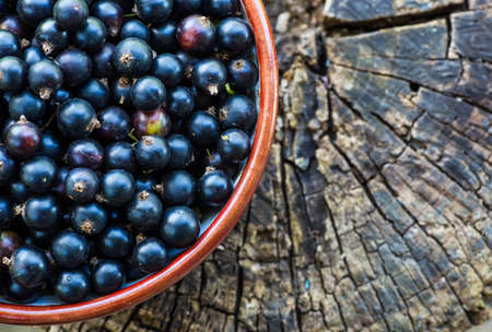 Black currants in a bowlの写真素材