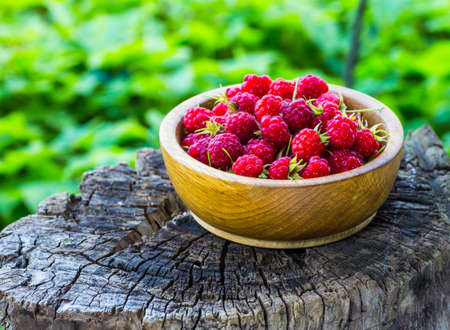 raspberries in a bowl on a wooden backgroundの写真素材