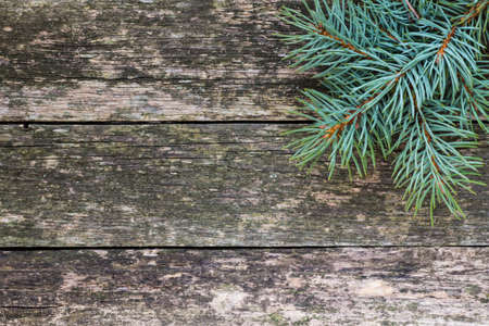 Christmas fir tree with decoration on a wooden board