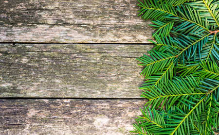Christmas fir tree with decoration on a wooden boardの写真素材