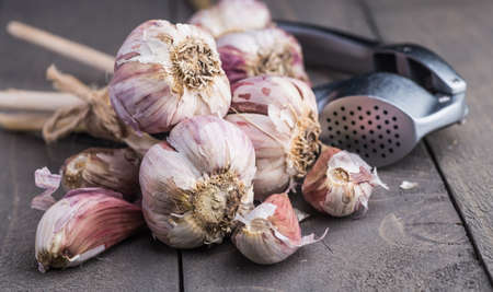 Organic garlic. Garlic press. Violet garlic.Wooden board.の写真素材