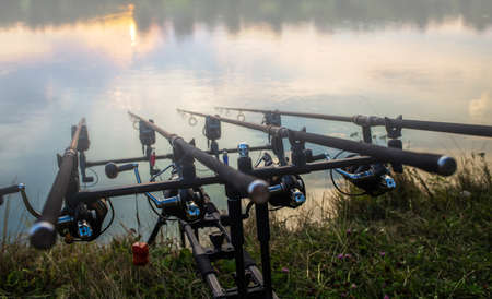 Carp fishing rods,fishing rod, fishing line, coilの写真素材