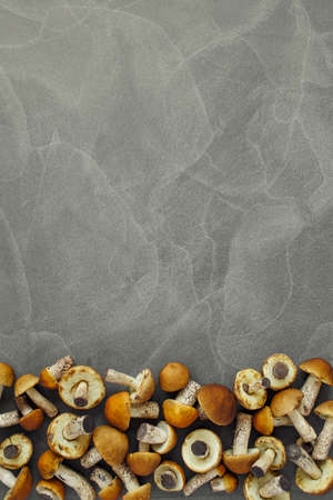 Autumn Cep Mushrooms. Ceps Boletus edulis over Wooden Dark Background, close up on wood rustic table. Cooking delicious organic mushroom. Gourmet foodの写真素材