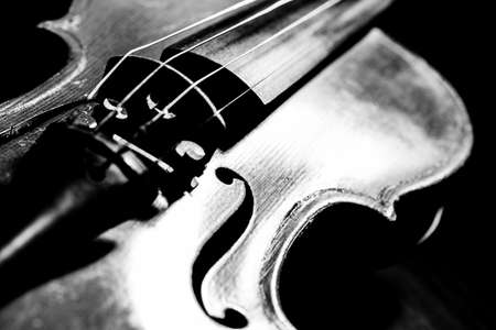 Violin , Instrument in Dark , Black and white , Music lightの写真素材