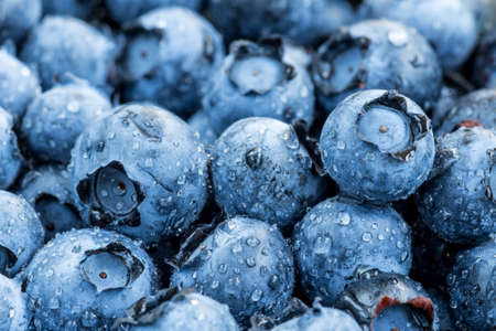 Fresh blueberries background with copy space for your text. Vegan and vegetarian concept. Macro...