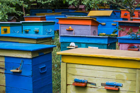 A beehive from a tree stands on an apiary. The houses of the bees are placed on the green grass. Private enterprise for beekeeping. Honey healthy food products.Wooden beehive.の写真素材