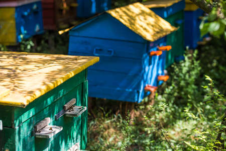 A beehive from a tree stands on an apiary. The houses of the bees are placed on the green grass. Private enterprise for beekeeping. Honey healthy food products.Wooden beehive.の写真素材
