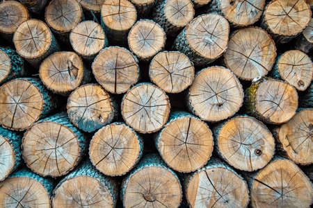 Wood burning stove. Firewood for furnace heating. Warehouse for firewood for stove.Natural wooden background - closeup of chopped firewood. Firewood stacked and prepared for winter Pile of wood logsの写真素材