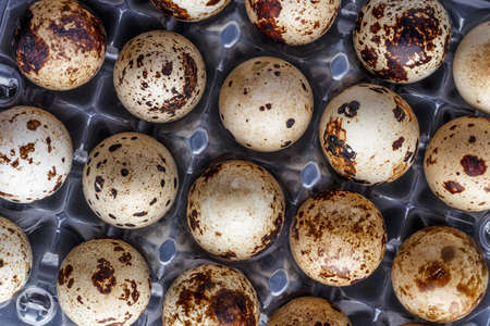 small motley quail eggs in transparent plastic packages.Open space, healthy food concept, plants,...