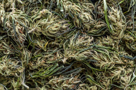 Background of flower buds cannabis, marijuana, weed top view copy spase close up,CBD Macro a cannabis flower and marijuana macroの写真素材