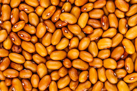 Beans of bean ( beans ). Background of many grains of dried beans. Brown beans texture. Food background. Close up.Vegetables for diet and healthy eating.Organic food. Background of brown bean.の写真素材