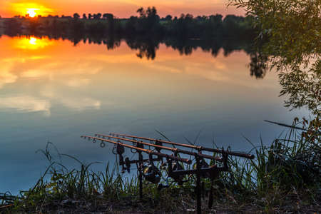 Fishing adventures, carp fishing. Angler, at sunset, is fishing with carpfishing technique. Camping on the shore of the lake.Carp Fishing Sunsetの写真素材