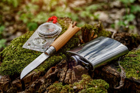 Cup of tea on a log in the forest, with forest flowers. Travel Concept.Tourist steel cup and compass...