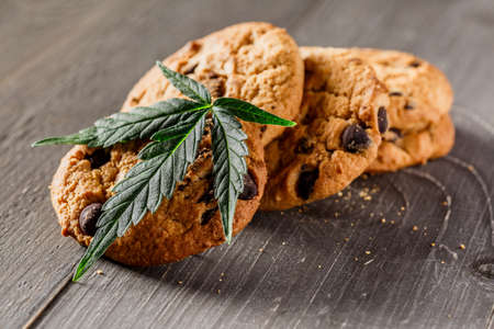 Cookies with cannabis and buds of marijuana on the table. A can of cannabis buds CBD Concept of cooking with cannabis herb. - Medical Legal Marijuanaの写真素材