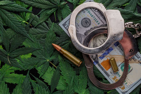 Marijuana Laws. Marijuana Buds with Police Hand Cuffs.Room for text. Cannabis and the Law. Legalize...