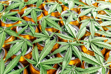 Golden beer cans.The sale of products and drinks with addition of hemp (cannabis) Beer cans with weed on one of themの写真素材