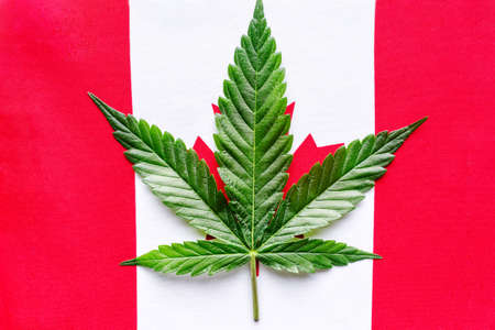 A Canadian flag with the maple leaf replaced by a marijuana leaf. Cannabis legalization in Canada.の写真素材