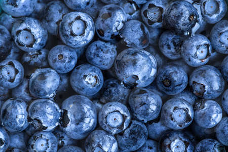 Blueberries floating in water with bubbles. Fresh blueberries background with copy space for your text. Vegan and vegetarian concept.Texture blueberry berries close upの写真素材