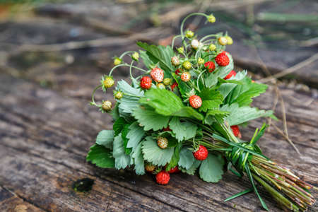 Red strawberries berry and white flowers in wild meadow, close up.Summer bunch of ripe berries view.Mix berries in mug on wood background.の写真素材