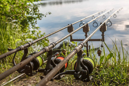 Carpfishing session at the Lake. Carp Angling scenic landscape overlooking lake at Dawn. Fishing adventures, carp fishing.の写真素材