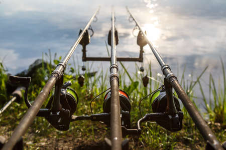 Carpfishing session at the Lake. Carp Angling scenic landscape overlooking lake at Dawn. Fishing adventures, carp fishing.の写真素材