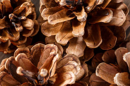 Pine cones on wooden background.Rustic natural wooden background with pine conesの写真素材