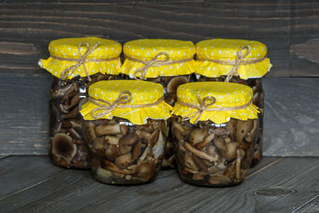Mushrooms marinaded in glass jars. Fermented mushrooms on rustic widen background. mushrooms...